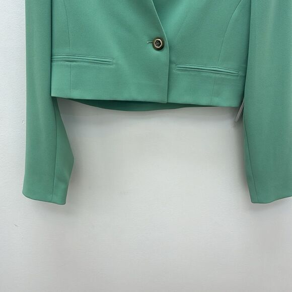 Pinko Blazer - Picture 3 of 8